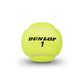 Dunlop ATP Championship (Extra Duty) Tennis Balls (Case)
